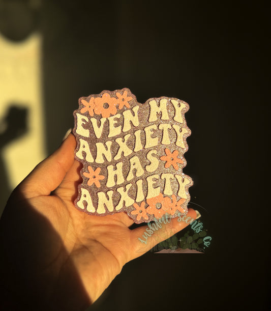 Even My Anxiety, Has Anxiety