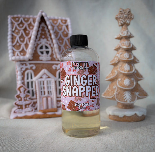GInger Snapped - Mop Soap