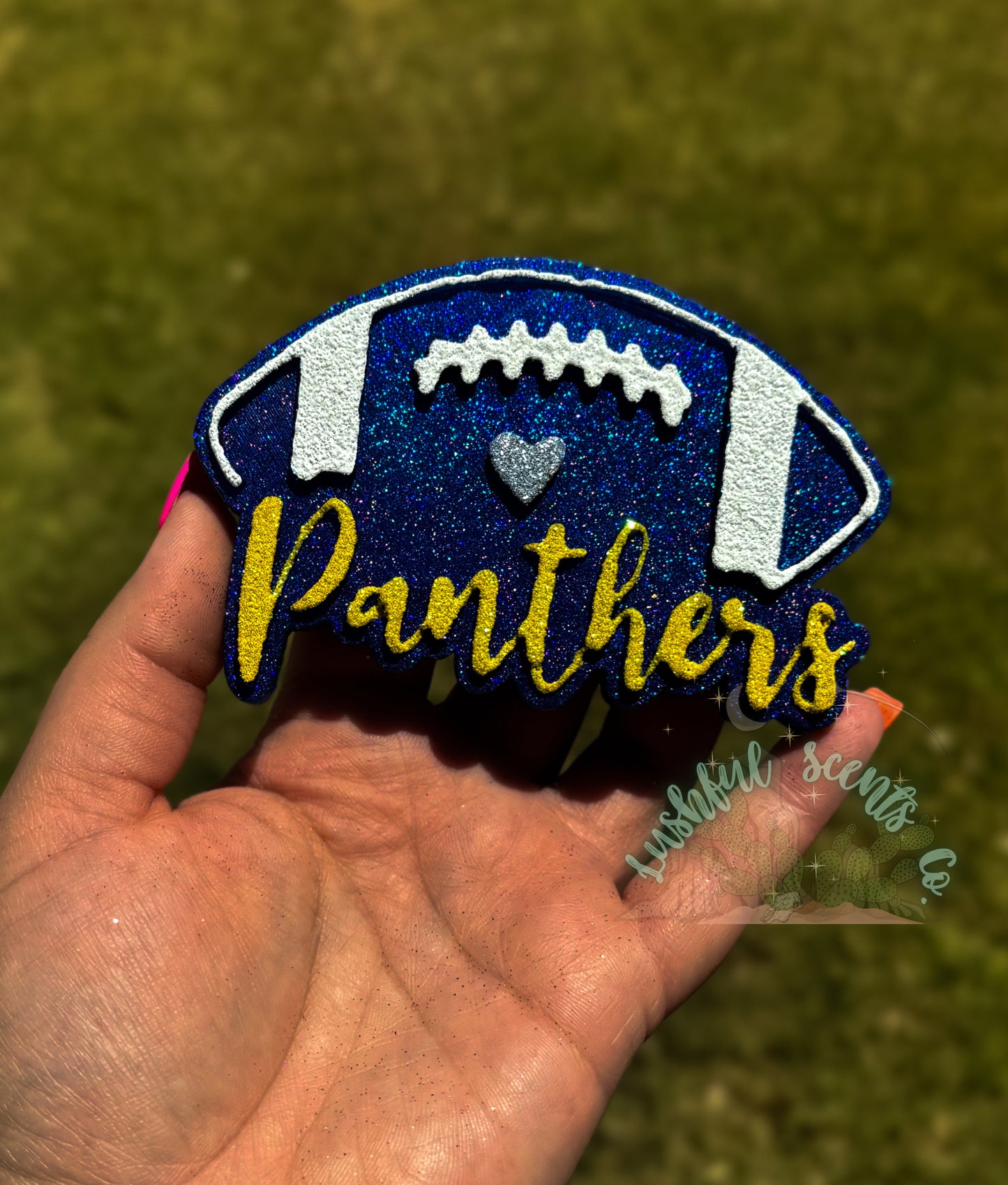 Panthers Football