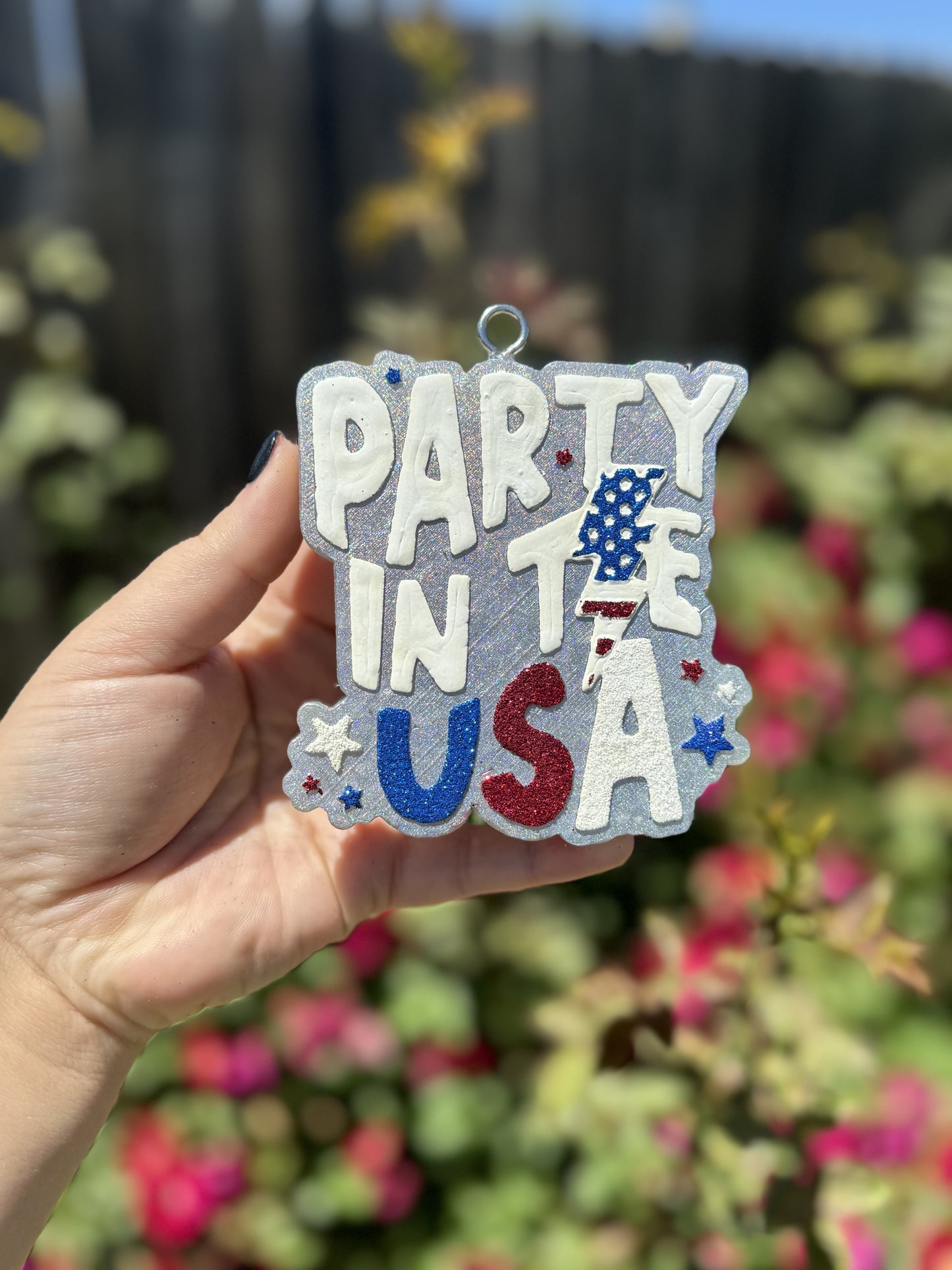 Party in The USA